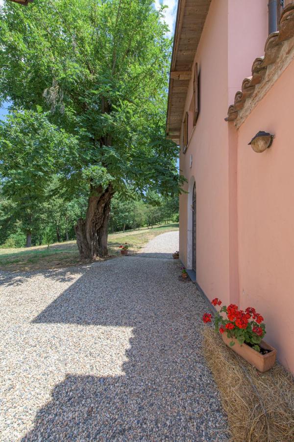 Tenuta Cascina Marenco Gavi Exteriér fotografie